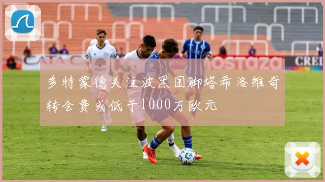 多特蒙德关注波黑国脚塔希洛维奇转会费或低于1000万欧元